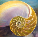 Nautilus