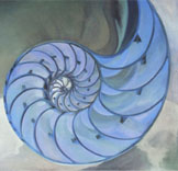 Nautilus blau